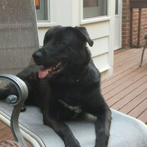 Meet your Posher, Greg