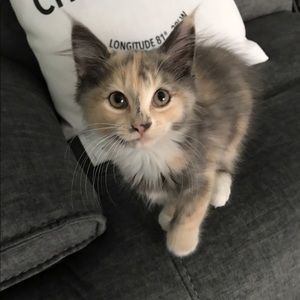 Meet your Posher, Erica