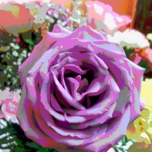 Meet your Posher, Misstrizzy