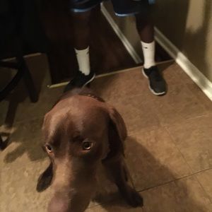 Meet your Posher, Darryl