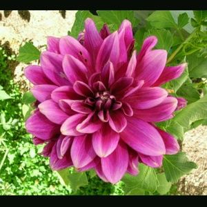 Meet your Posher, Sandra