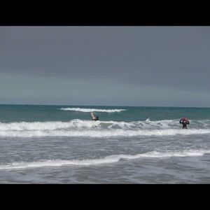 Meet your Posher, Donna