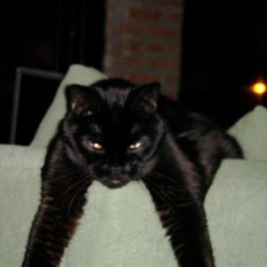 Meet your Posher, Hae