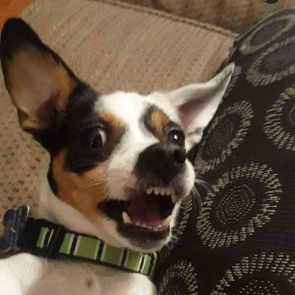 Meet your Posher, Mayra