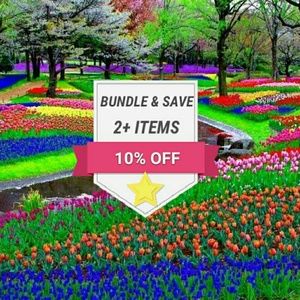 BUNDLE & SAVE 10% OFF 2+ ITEMS!