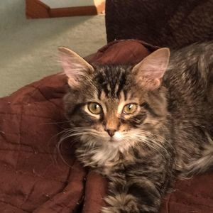 Meet your Posher, Joan