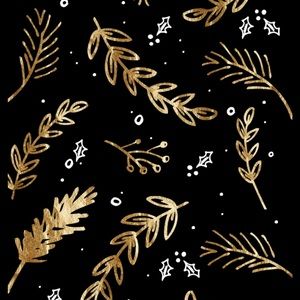 Meet your Posher, Snow