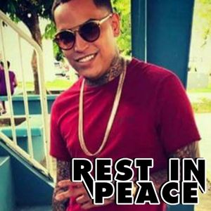 Meet your Posher, Ronnie