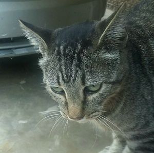 Meet your Posher, Kelli