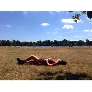 Meet your Posher, Molly