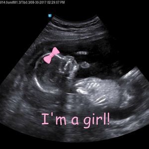 Meet your Posher, Jessie