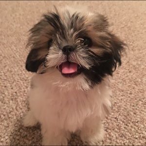 Meet your Posher, Marlene