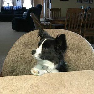 Meet your Posher, Denise