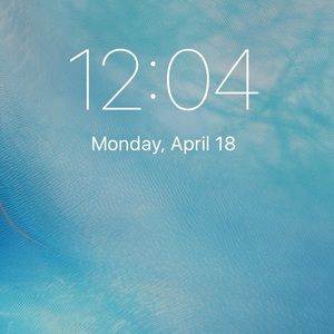 Meet your Posher, Hedy