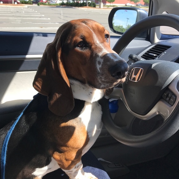 Meet the Posher - Picture 8 of 8