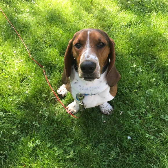 Meet the Posher - Picture 5 of 8