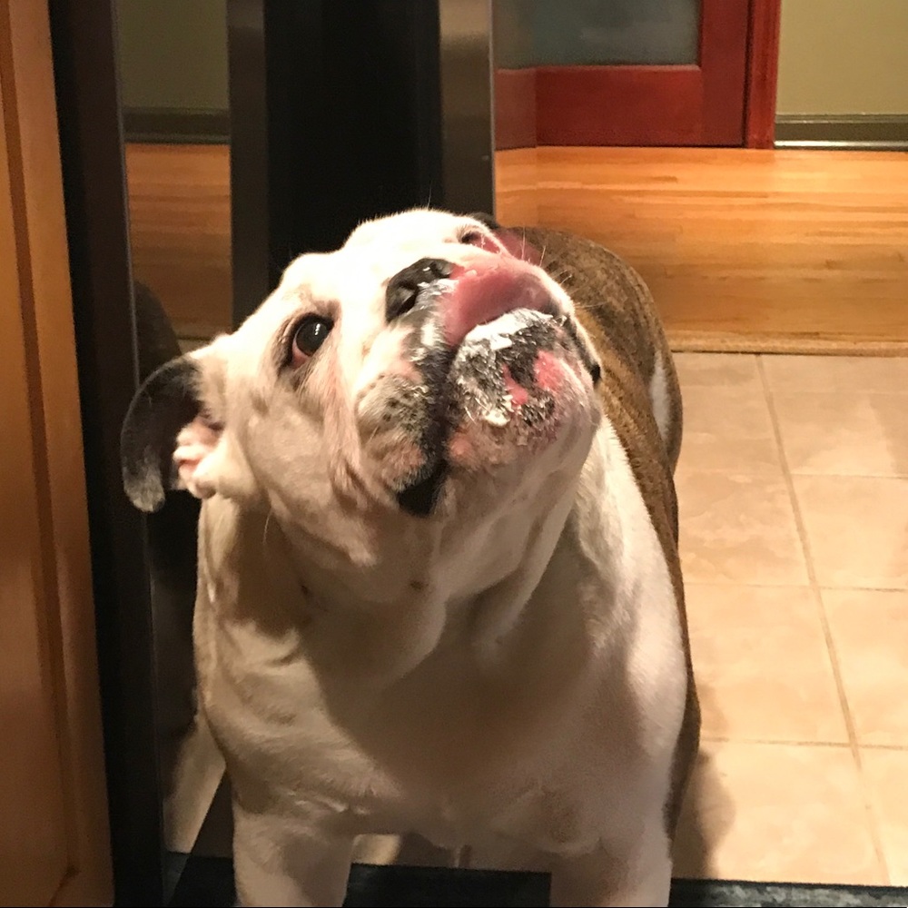 Meet your Posher, Beata