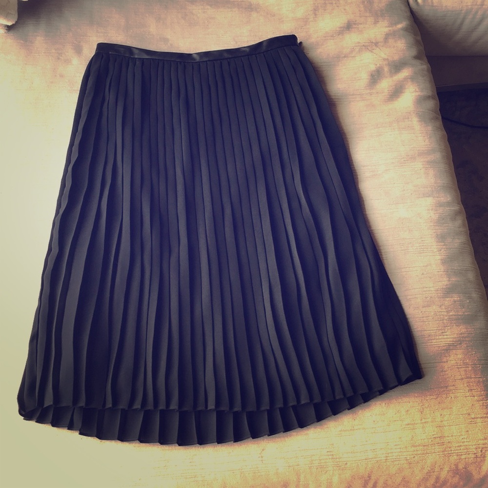 Banana Republic Pleated Skirt
