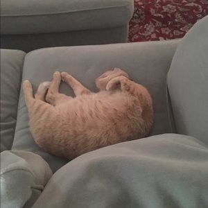 Meet your Posher, Fran