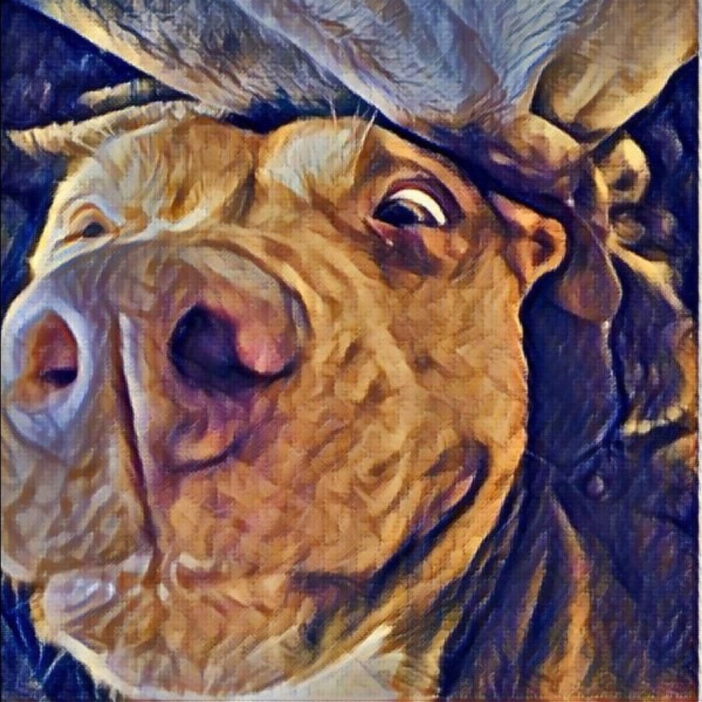 Meet your Posher, Judy