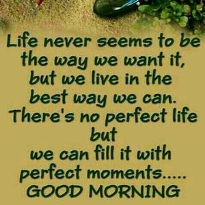 Meet your Posher, Sophia