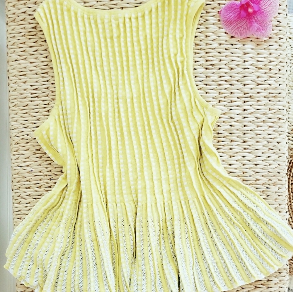 Anthropologie Moth Ostinato Peplum Top