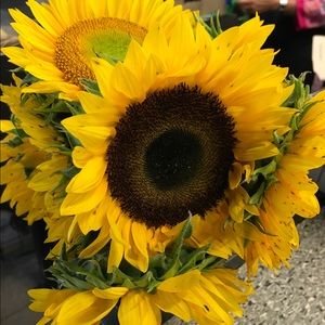 Meet your Posher, Adriana