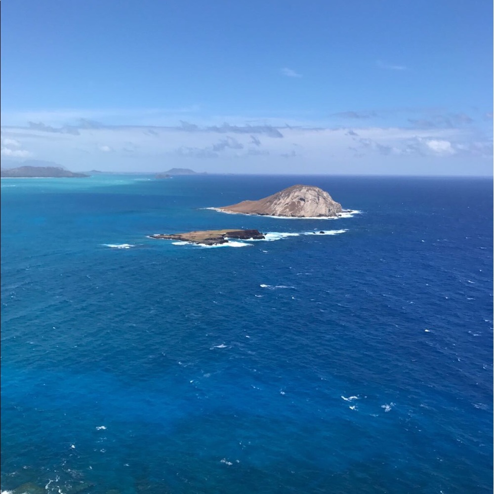 Meet your Posher, Rere