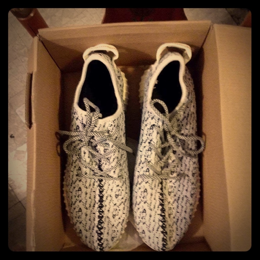 Yeezy boost 350 turtle dove