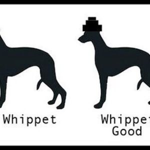 Meet your Posher, Claire