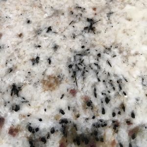 Meet your Posher, Alexa