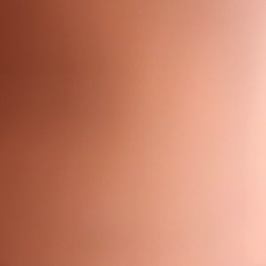 Meet your Posher, Shaniqua