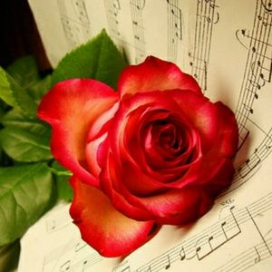 Meet your Posher, Angel