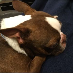 Meet your Posher, Anna