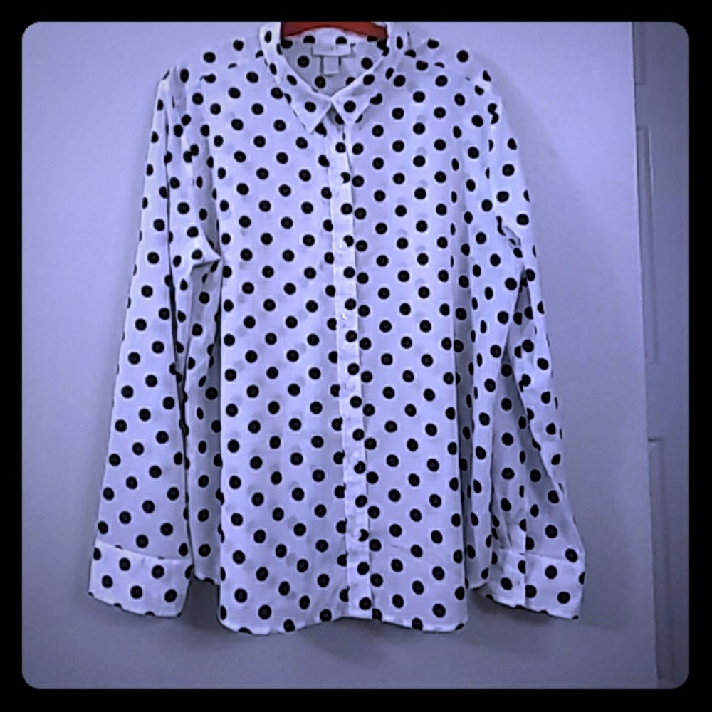 Ann Taylor Loft Long-Sleeved Button Down Shirt XL