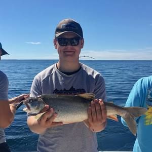 Meet your Posher, Adam