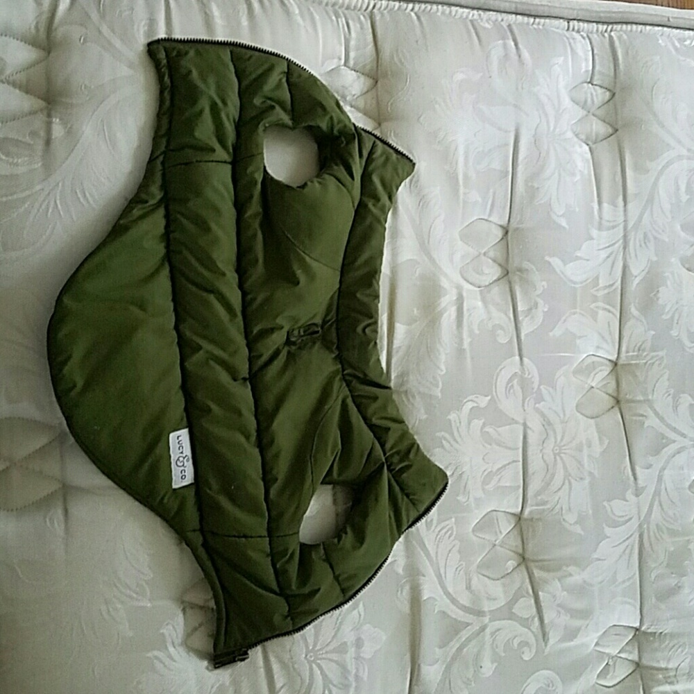 Green dog jacket