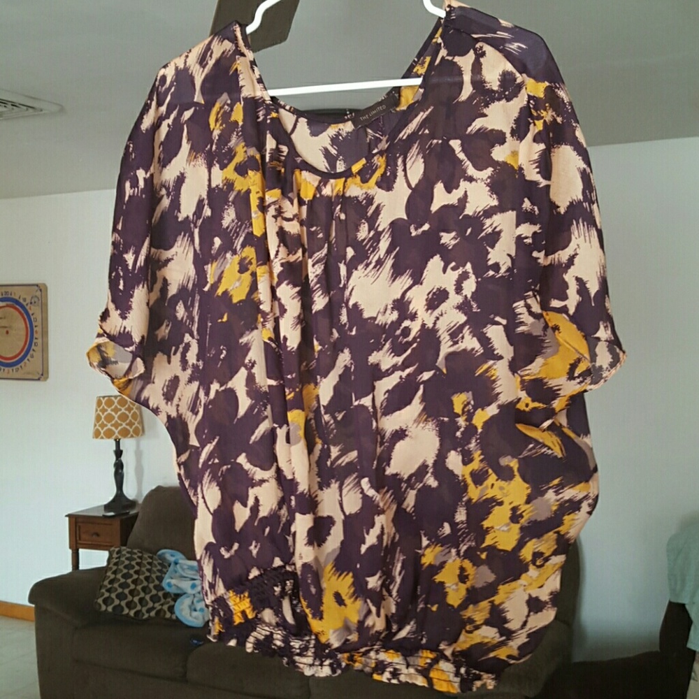 the limited xl sheer blouse