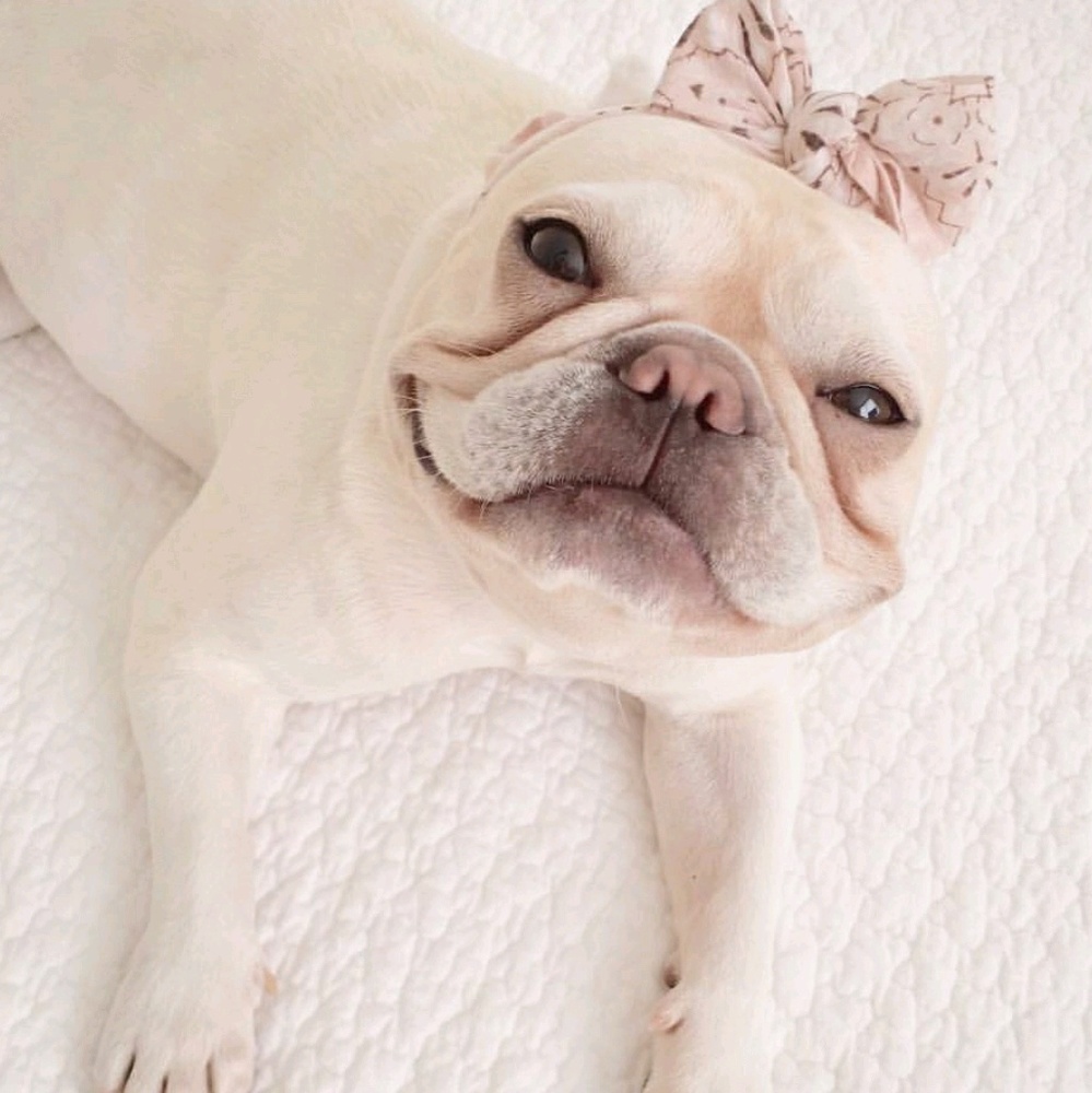 Meet your Posher, Gina