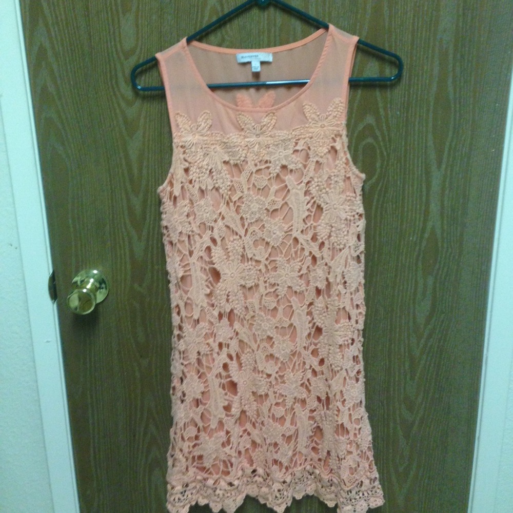 Salmon Lace Dress with Mesh. Blu-Pepper.