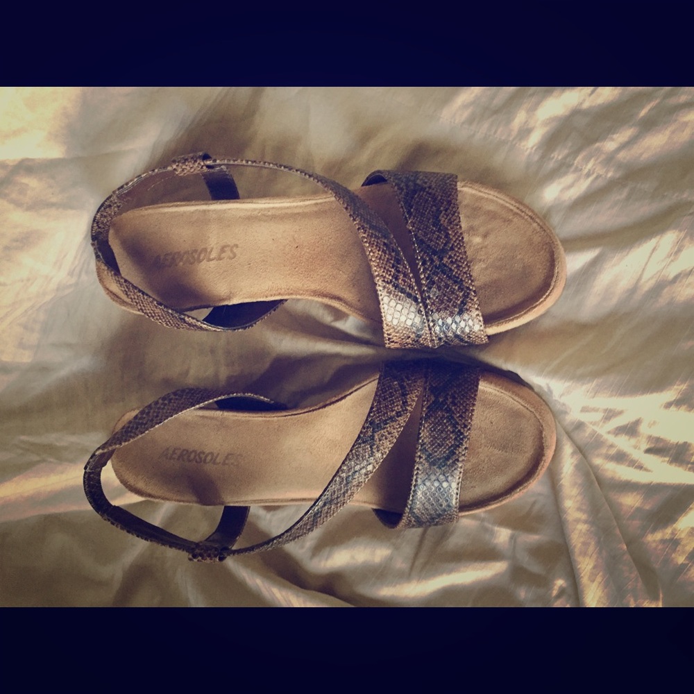 Aerosole wedges 6.5