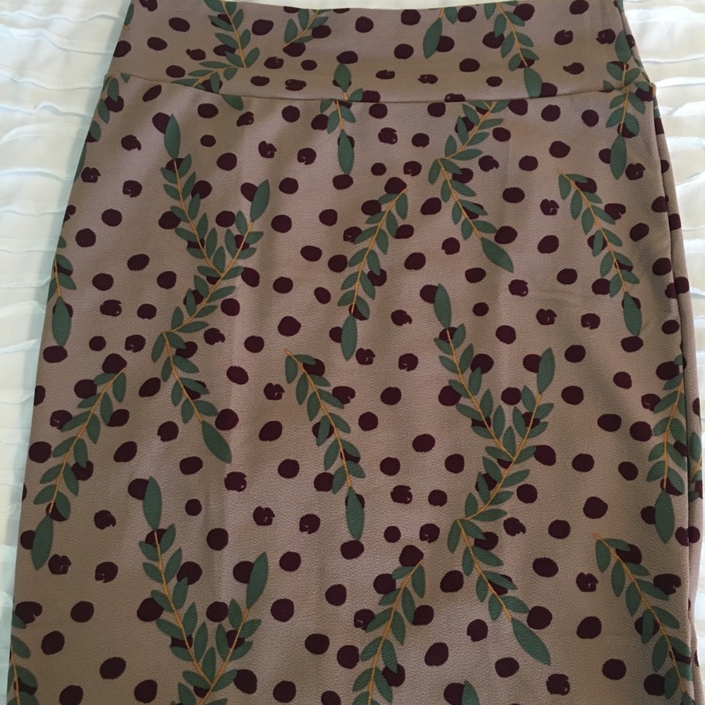 NWOT LuLaRoe Cassie skirt 