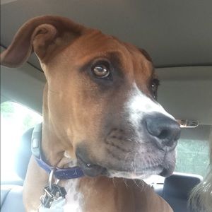 Meet your Posher, Katie