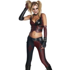 Harley Quinn costume, only used once!