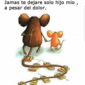 Meet your Posher, Selena