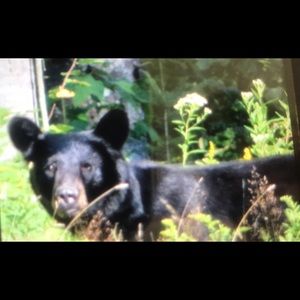 Meet your Posher, Mason