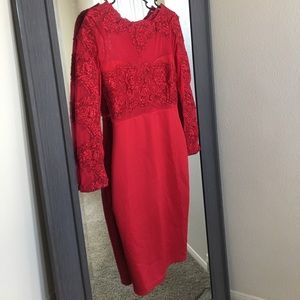 Stunning red mesh and lace dress !