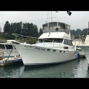 Meet your Posher, Marty