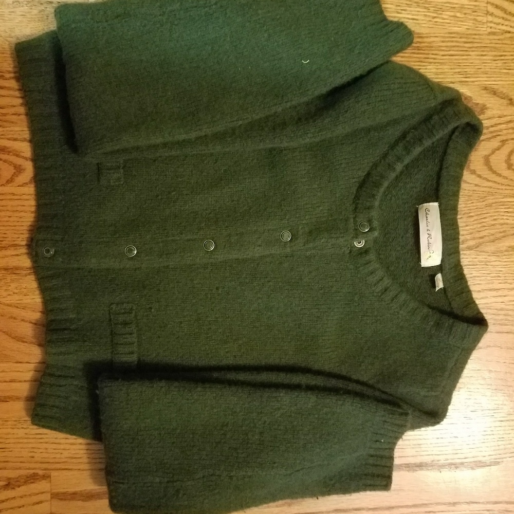 Anthropologie Charlie & Robin deep green sweater.