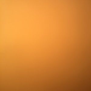 Meet your Posher, Leanne